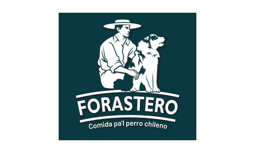 Forastero