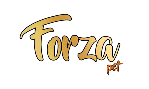 Forza