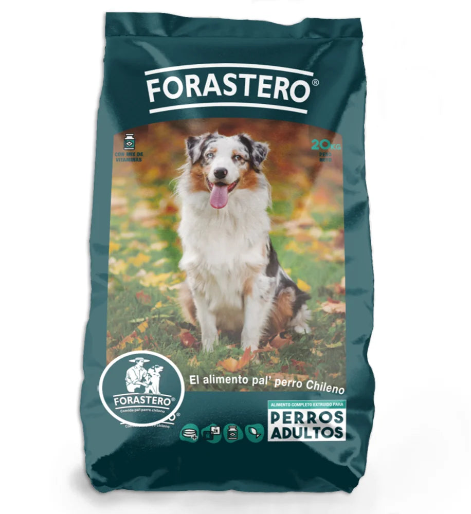 Forastero Adulto