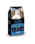 Alaska Cachorro